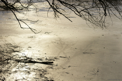 2017-01-29_um_15-48-47