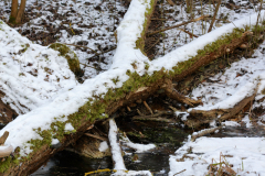 2017-01-29_um_15-55-36