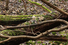 2017-02-05_um_11-24-44