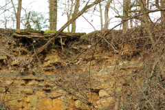 2017-02-05_um_11-33-10