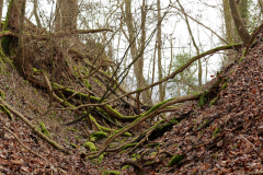 2017-02-05_um_11-33-39