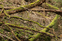 2017-02-05_um_11-54-22