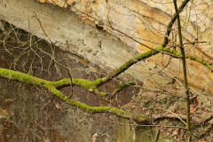 2017-02-05_um_11-57-55