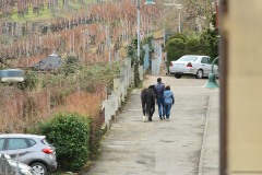 2017-02-05_um_16-40-23