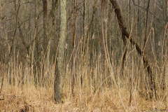 2017-02-12_um_13-35-48