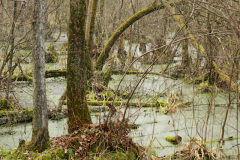 2017-02-12_um_13-41-21