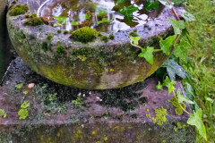 2019-06-22_19-20-05