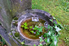 2019-06-22_19-20-44