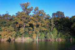 2019-09-18_18-32-05