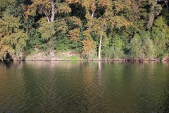 2019-09-18_18-32-24
