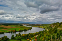2019-09-28_11-41-53