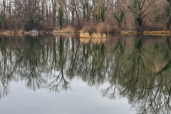 2020-01-12_14-25-32