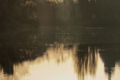 2020-01-24_16-57-27