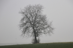 2020-01-26_14-27-31