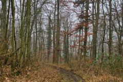 2020-01-26_14-29-33