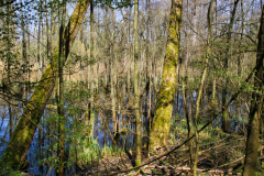 2020-04-04_13-30-41
