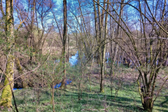 2020-04-04_13-57-21