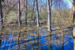 2020-04-04_14-03-43