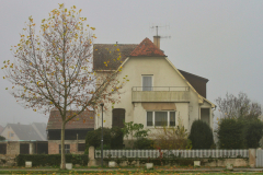 2020-11-21_09-50-23