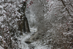 2021-01-03__11-10-54