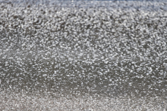 2021-02-14__09-41-45
