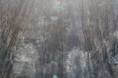 2021-02-14__09-53-45