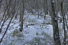 2021-02-14__09-58-07
