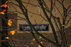 2024-11-09__12-37-34