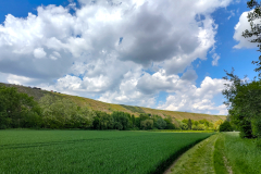 2025-05-18__14-18-18