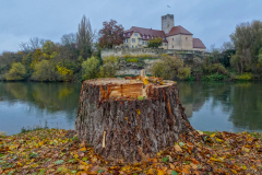 2025-11-09__16-39-16