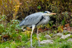 2025-11-14__13-58-51