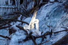 2025-12-29__15-16-00