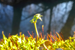 2025-12-29__15-17-27