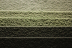 2026-01-25__19-35-56