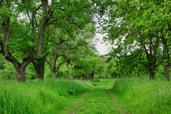 DSC03804