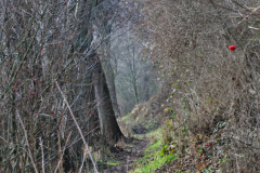 IMG_1955