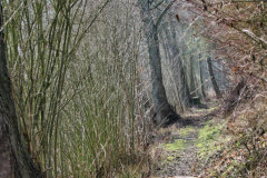 IMG_1964