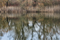 IMG_1982