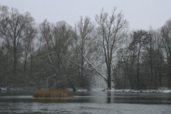 IMG_8320