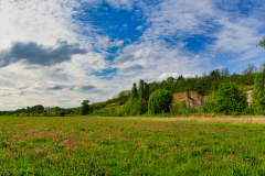 Neckarwiesenpano